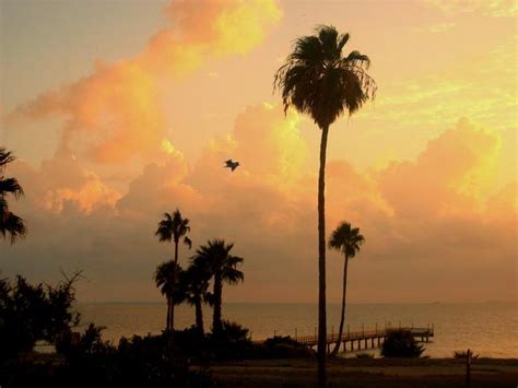 corpus christi wunderground|More.